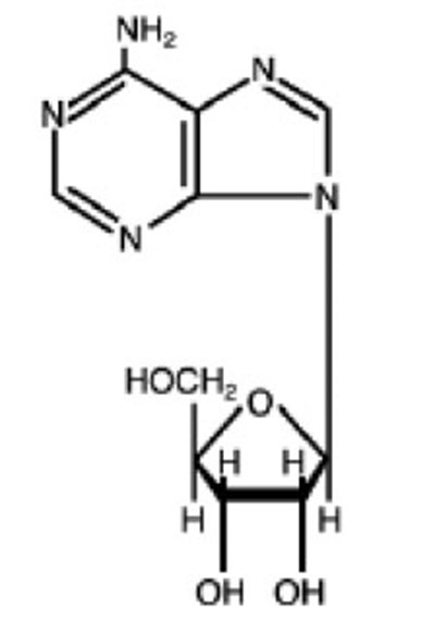 Structure (51662 1643 Structure)